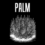 artwork du premier album de Palm