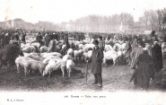 Foire aux porcs. Warnet-Lefèvre (W.L. 166) antérieure à 1903. Coll. YRG et AmR 44Z2313