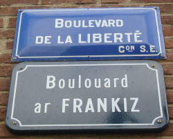 Boulevard Liberte, Rennes Man vyi.jpg